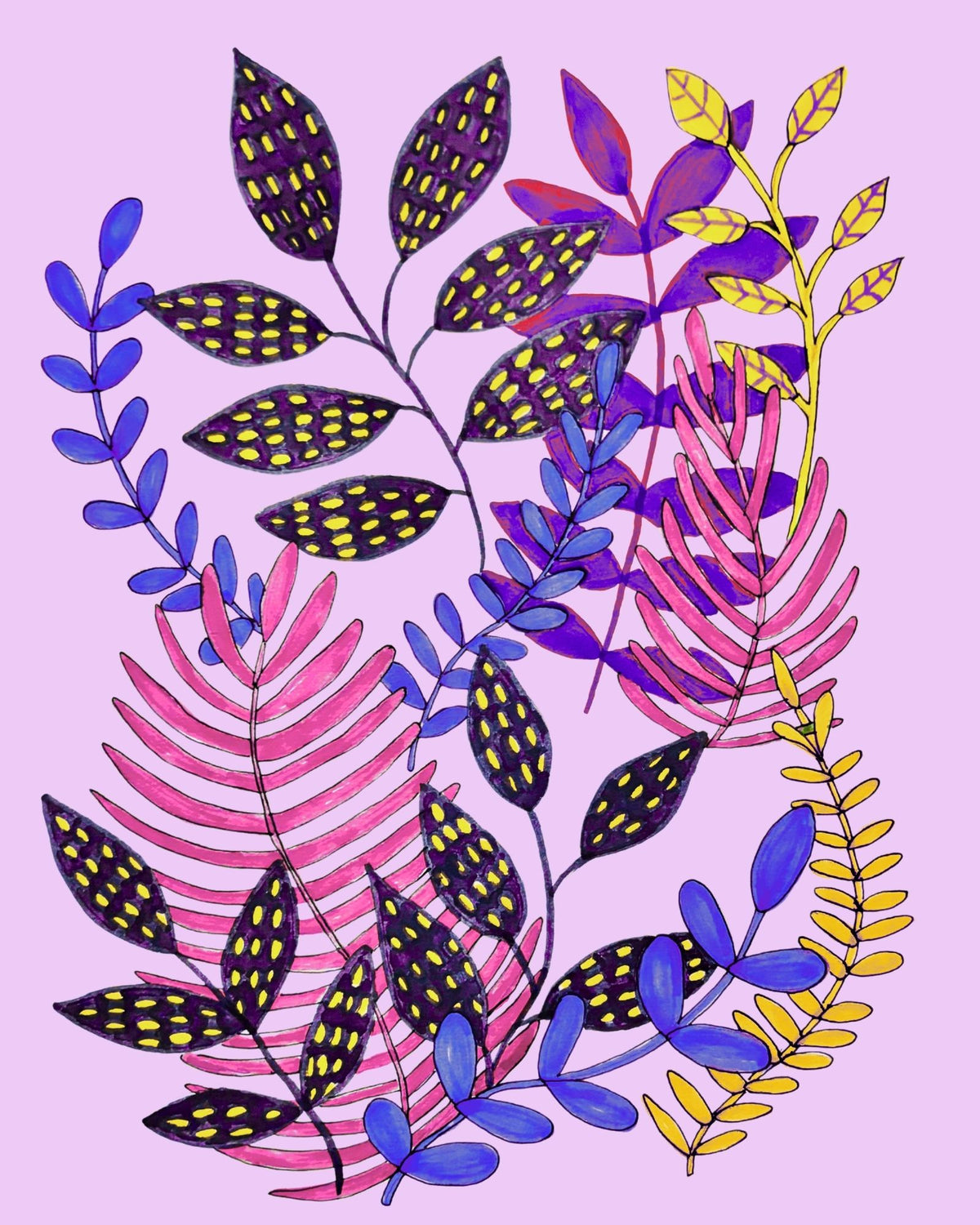 Purple Ferns 8x10 Print
