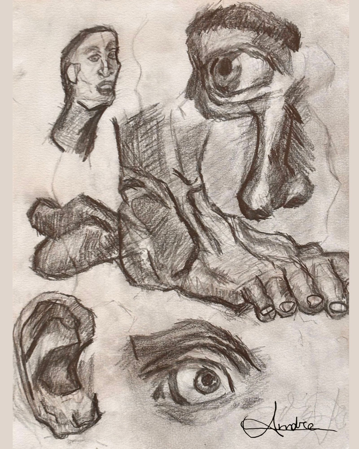 Anatomy 8x10 Print