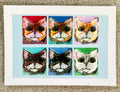 Multicolored Cats Greeting Card