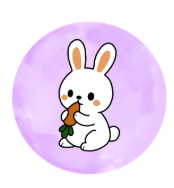 Animal Magnetic Charms
