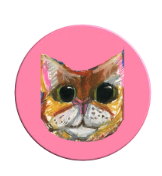Animal Magnetic Charms