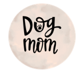 Miscellaneous Magnetic Charms