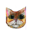 Animal Magnetic Charms