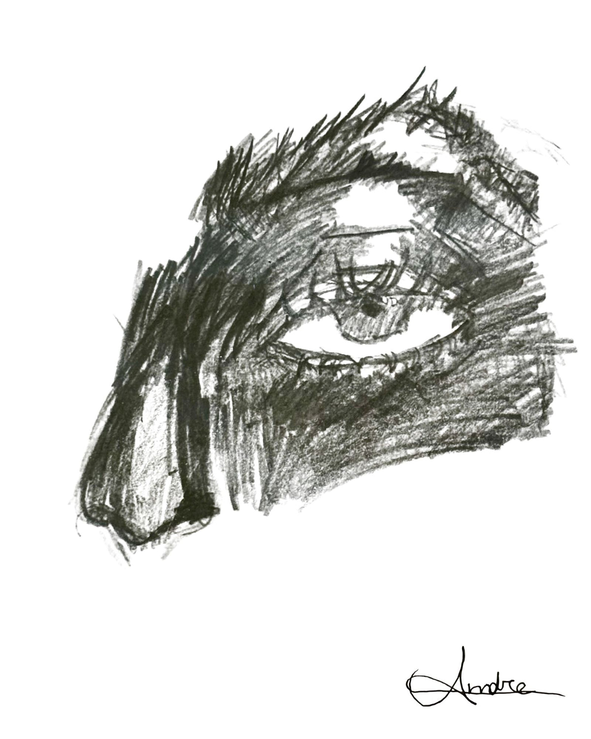 The Silent Witness